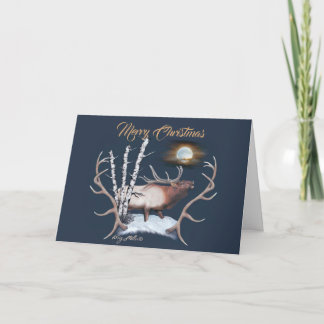 Bull Elk Holiday Card