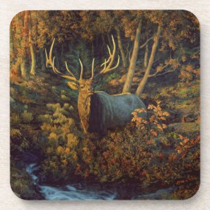 Bull Elk in Autumn Forest Coaster