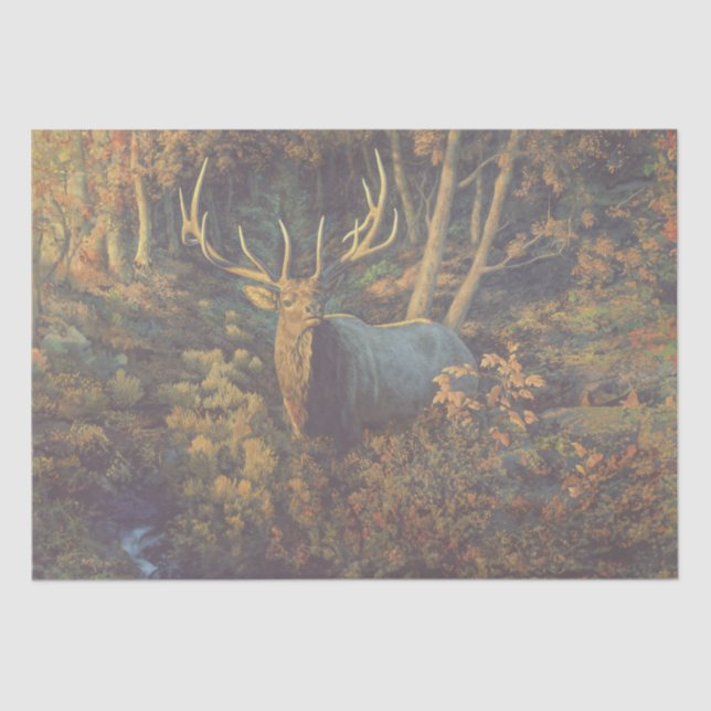 Bull Elk in Autumn Forest Tissue Paper (Front)