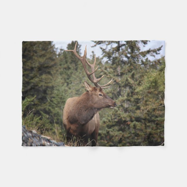 Bull Elk In Jasper Fleece Blanket (Front (Horizontal))