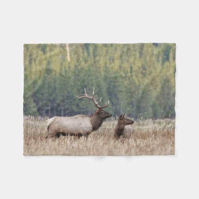 Bull Elk in Meadow | Yellowstone National Park Fleece Blanket (Front (Horizontal))