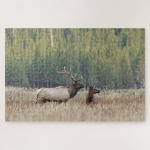 Bull Elk in Meadow Yellowstone National Park Jigsaw Puzzle