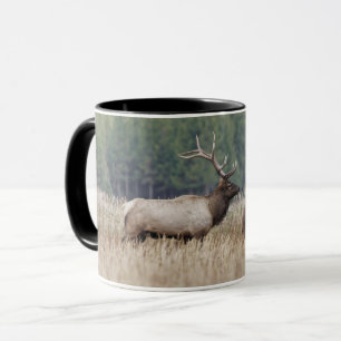 Bull Elk in Meadow   Yellowstone National Park Mug