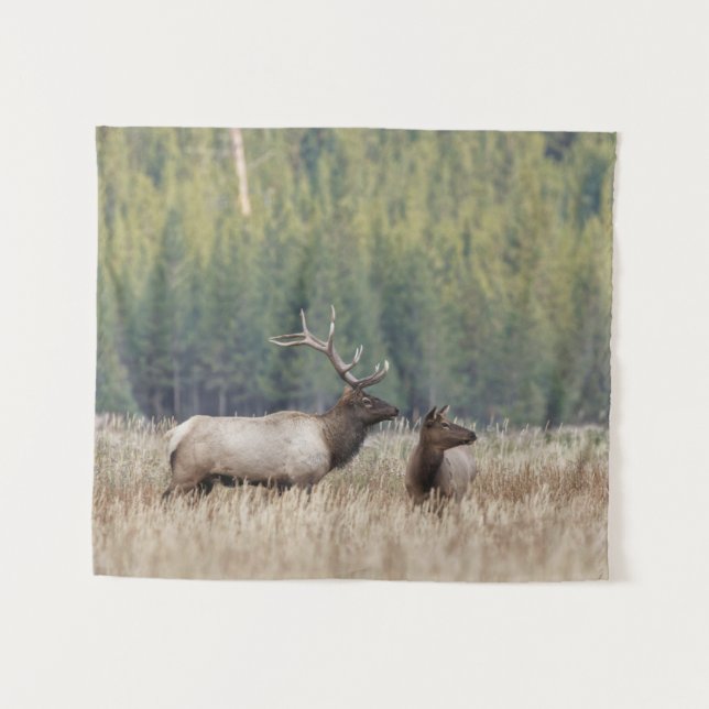 Bull Elk in Meadow | Yellowstone National Park Tapestry (Front (Horizontal))
