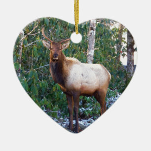Bull Elk in Rhododendrons Ceramic Tree Decoration