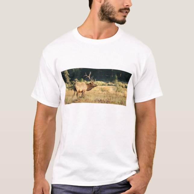 Bull Elk in Rocky Mountain Park T-Shirt (Front)