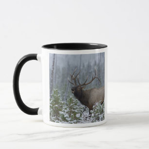 Bull Elk in snow calling, bugling, Yellowstone Mug