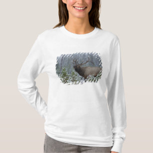 Bull Elk in snow calling, bugling, Yellowstone T-Shirt