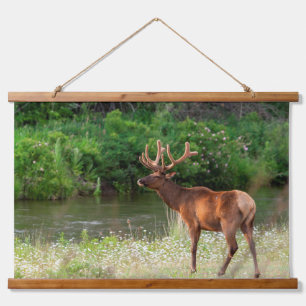 Bull Elk in the National Bison Range, Montana Hanging Tapestry