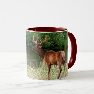 Bull Elk in the National Bison Range, Montana Mug