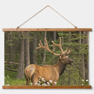 Bull Elk in Velvet, Canada Hanging Tapestry