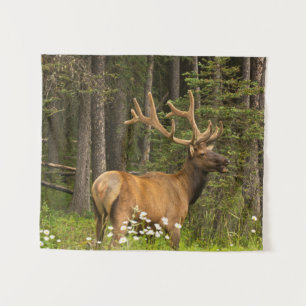 Bull Elk in Velvet, Canada Tapestry