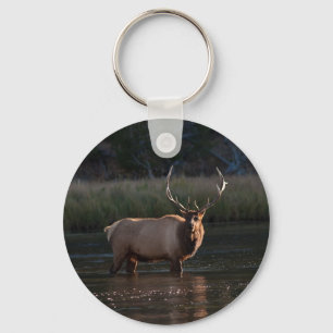 Bull Elk Key Ring