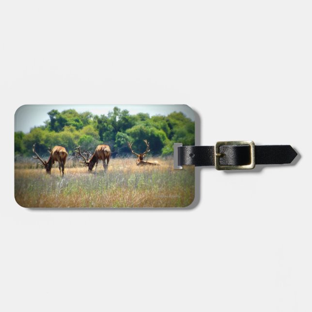 Bull Elk Luggage Tag (Front Horizontal)