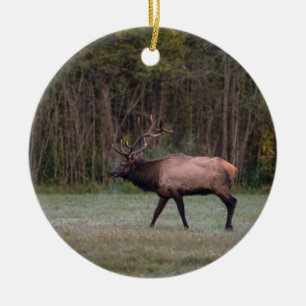 Bull Elk Morning Walk Ceramic Tree Decoration