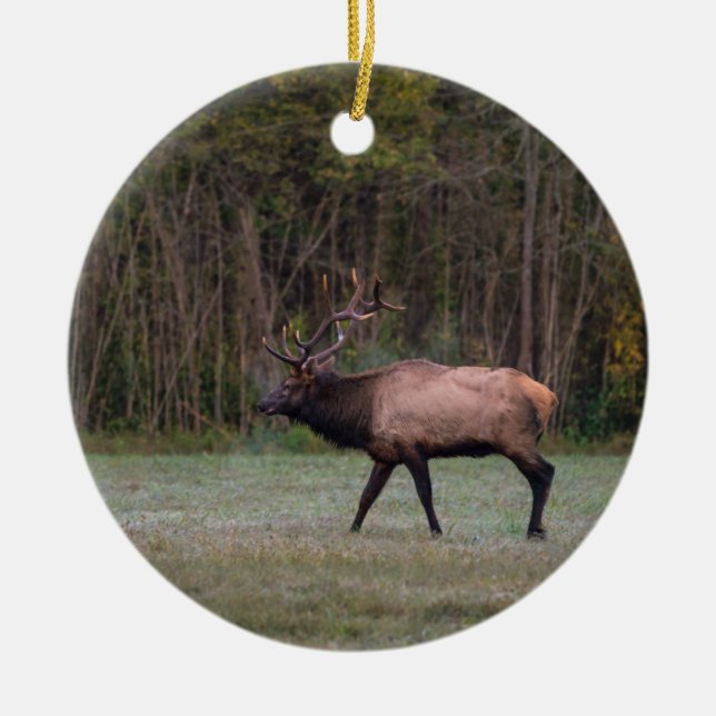 Bull Elk Morning Walk Ceramic Tree Decoration (Front)