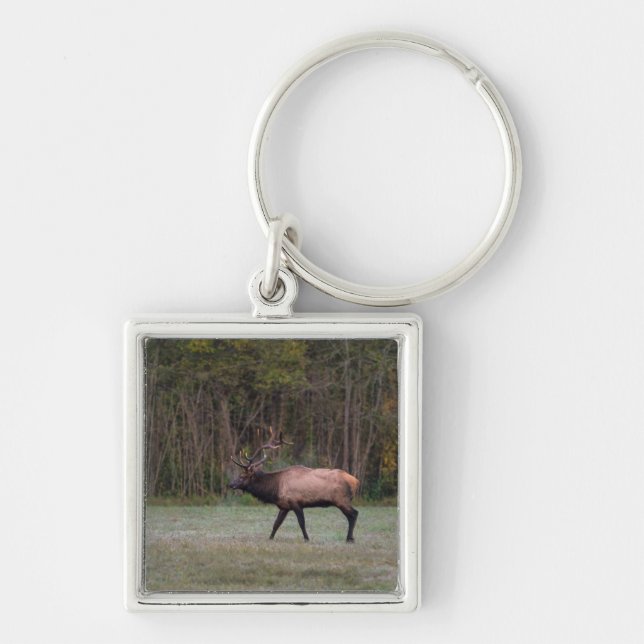 Bull Elk Morning Walk Key Ring (Front)