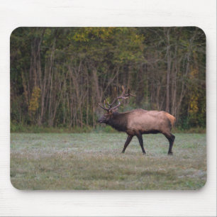 Bull Elk Morning Walk Mouse Mat