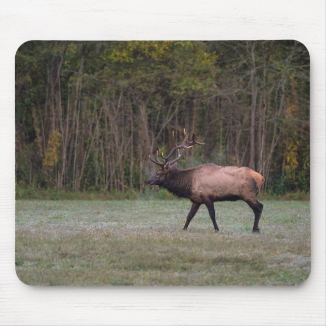 Bull Elk Morning Walk Mouse Mat (Front)