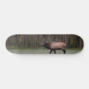 Bull Elk Morning Walk Skateboard