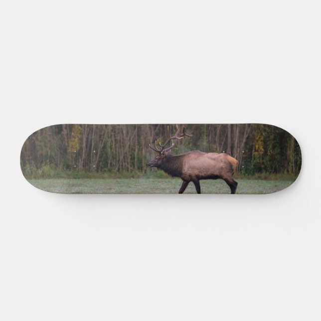 Bull Elk Morning Walk Skateboard (Horz)