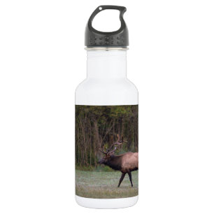 Bull Elk Morning Walk Stainless Steel Water Bottle
