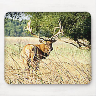 Bull Elk Mouse Mat