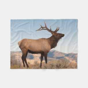 Bull Elk Near Mammoth   Wyoming Fleece Blanket