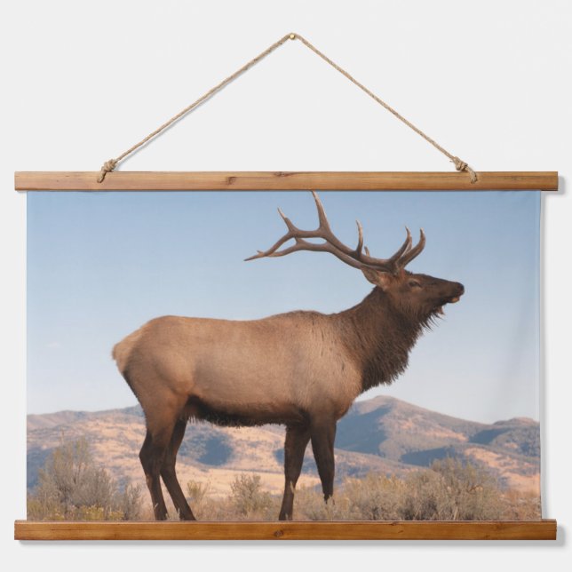 Bull Elk Near Mammoth | Wyoming Hanging Tapestry (Front)