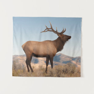 Bull Elk Near Mammoth   Wyoming Tapestry