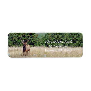 Bull Elk Return Address Label