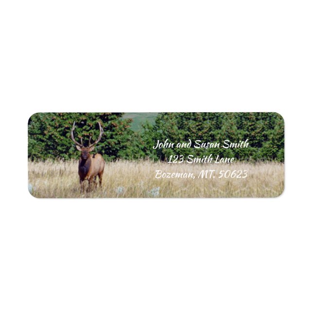 Bull Elk Return Address Label (Front)