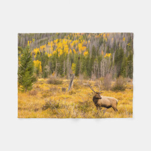 Bull Elk   Rocky Mountain National Park Colorado Fleece Blanket