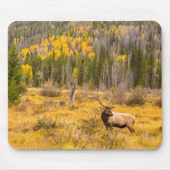 Bull Elk | Rocky Mountain National Park Colorado Mouse Mat (Front)