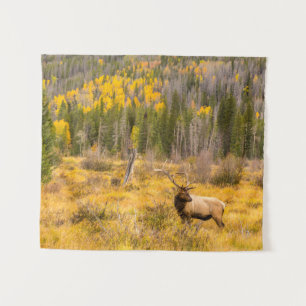 Bull Elk Rocky Mountain National Park Colorado Tapestry