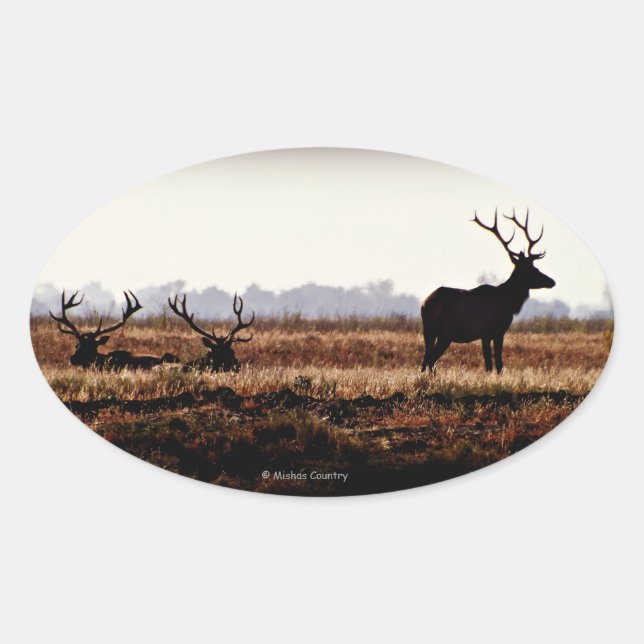 Bull Elk Silhouette Oval Sticker (Front)