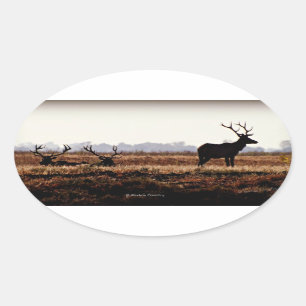 Bull Elk Silhouette Oval Sticker