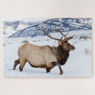 Bull Elk   Wyoming Jigsaw Puzzle