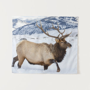 Bull Elk Wyoming Tapestry