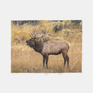 Bull Elk   Yellowstone National Park Fleece Blanket