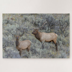 Bull Elk Yellowstone National Park, Wyoming Jigsaw Puzzle