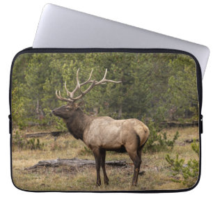 Bull Elk Yellowstone National Park, Wyoming Laptop Sleeve