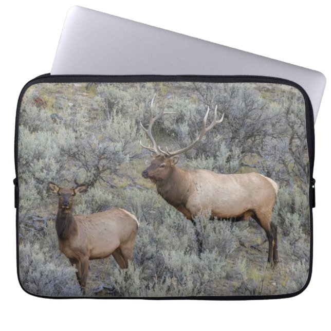 Bull Elk | Yellowstone National Park, Wyoming Laptop Sleeve (Front)