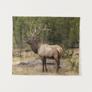 Bull Elk Yellowstone National Park, Wyoming Tapestry