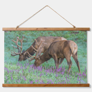 Bull Elks Rocky Mountain National Park, Colorado Hanging Tapestry
