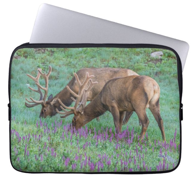 Bull Elks Rocky Mountain National Park, Colorado Laptop Sleeve (Front)