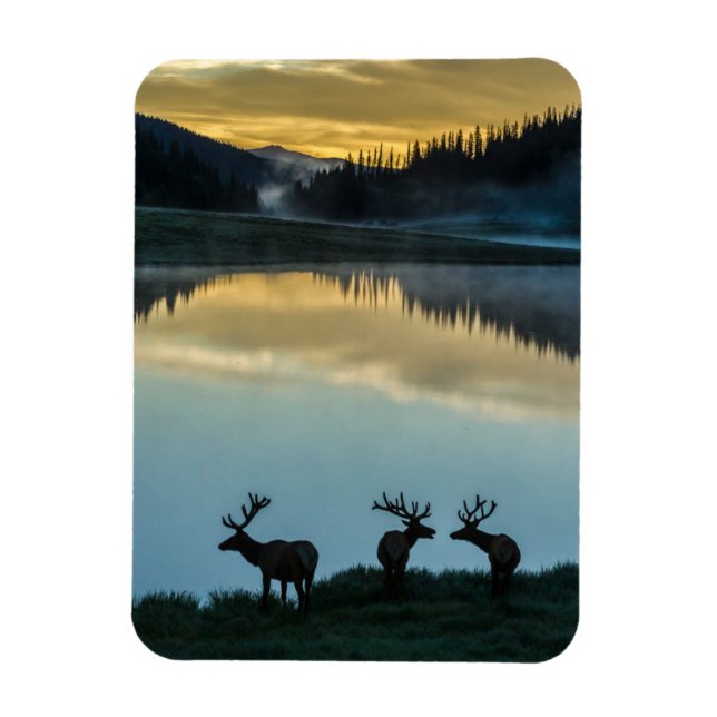 Bull Elks Silhouetted Poudre Lake Sunrise Magnet (Vertical)