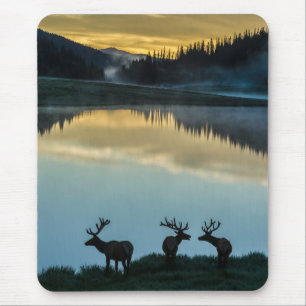 Bull Elks Silhouetted Poudre Lake Sunrise Mouse Mat