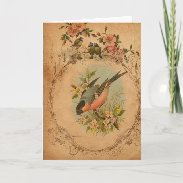 Bull Finch Digital Art Card (Front)