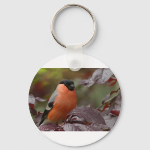 Bull Finch Key Ring
